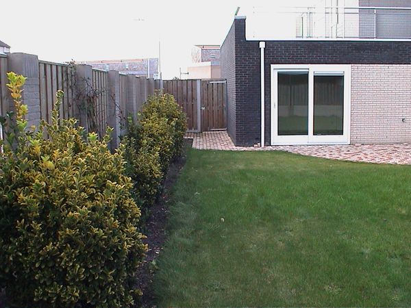 tuin IV november 2001