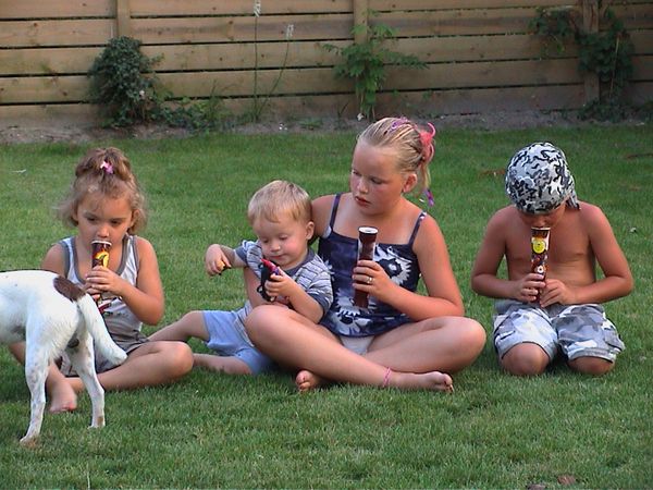 renesse 12