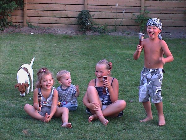 renesse 9
